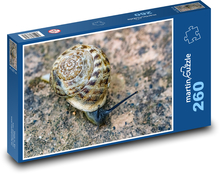Ślimak - mięczak, zwierzę Puzzle 260 elementów - 41x28,7 cm