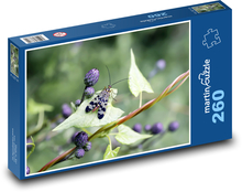 Insekt - Käfer Puzzle 260 Teile - 41 x28,7 cm