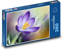 Krokus - Blume, Garten Puzzle 260 Teile - 41 x28,7 cm