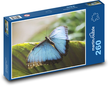 Modrý motýl - hmyz, křídla Puzzle 260 dílků - 41 x 28,7 cm