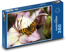 Motýľ na kvetine - ľalia, makro Puzzle 260 dielikov - 41 x 28,7 cm 