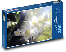 Bílý květ - strom, jaro Puzzle 260 dílků - 41 x 28,7 cm
