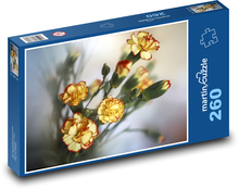 Carnation - yellow flowers, plant Puzzle 260 pieces - 41 x 28.7 cm