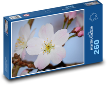 Kvet - príroda, jar Puzzle 260 dielikov - 41 x 28,7 cm 