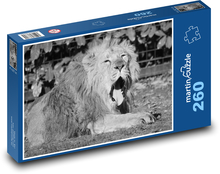 Lev - cicavec, zviera Puzzle 260 dielikov - 41 x 28,7 cm 