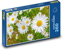 Kvety - príroda, jar Puzzle 260 dielikov - 41 x 28,7 cm 