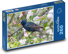 Špaček - pták, jabloň Puzzle 260 dílků - 41 x 28,7 cm