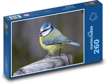 Sýkorka modřinka - pták, peří Puzzle 260 dílků - 41 x 28,7 cm