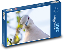 Halsbandtaube - Taube, Vogel Puzzle 260 Teile - 41 x28,7 cm