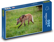 Wolf with mane - pasture, animal Puzzle 260 pieces - 41 x 28.7 cm