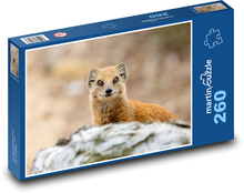 Mangusta - dravec, Afrika Puzzle 260 dílků - 41 x 28,7 cm