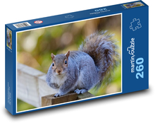 Roztomilá veverka - zvíře, sledování Puzzle 260 dílků - 41 x 28,7 cm