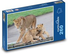 Lioness - mother, cubs Puzzle 260 pieces - 41 x 28.7 cm 