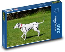 Dalmatín - pes, domáce zviera Puzzle 260 dielikov - 41 x 28,7 cm 