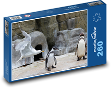 Pinguin - Möwe, Tiere Puzzle 260 Teile - 41 x28,7 cm