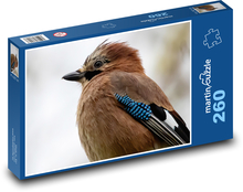 Jay - Vogel, Tier Puzzle 260 Teile - 41 x28,7 cm