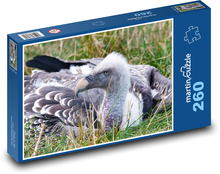 Sup velký - pták, zvíře Puzzle 260 dílků - 41 x 28,7 cm