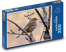 Wróbel - ptak ogrodowy, wiosna Puzzle 260 elementów - 41x28,7 cm
