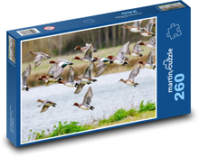 Letící kachny - ptáci, jezero Puzzle 260 dílků - 41 x 28,7 cm