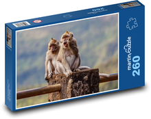 Makak - opice, zvířata Puzzle 260 dílků - 41 x 28,7 cm
