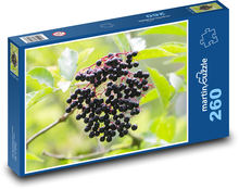 Elderberry - fruit, fruits Puzzle 260 pieces - 41 x 28.7 cm 