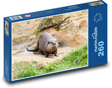 Vydra, zoo, zvíře Puzzle 260 dílků - 41 x 28,7 cm