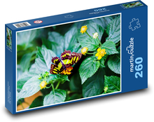 Green butterfly - flower, insect Puzzle 260 pieces - 41 x 28.7 cm 