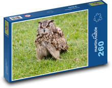 Nočná sova - dravec, lovec Puzzle 260 dielikov - 41 x 28,7 cm 