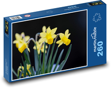 Narzissen - gelbe Blüten, Frühling Puzzle 260 Teile - 41 x28,7 cm