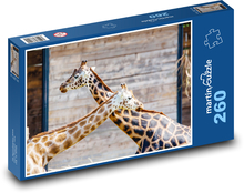 Žirafy - zvířata, pár Puzzle 260 dílků - 41 x 28,7 cm