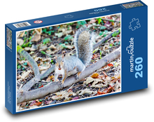 Šedá veverička - zviera, hlodavec Puzzle 260 dielikov - 41 x 28,7 cm 