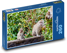 Affe im Dschungel - Makaken, Baum Puzzle 260 Teile - 41 x28,7 cm
