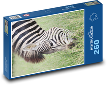 Zebra - zwierzę w paski, Afryka Puzzle 260 elementów - 41x28,7 cm