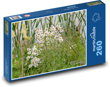 Ochsen-Gänseblümchen - Wiese, Gänseblümchen Puzzle 260 Teile - 41 x28,7 cm