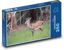Hirsch - Tier, Wald Puzzle 260 Teile - 41 x28,7 cm