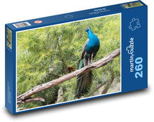 Peacock - bird, colorful feathers Puzzle 260 pieces - 41 x 28.7 cm 