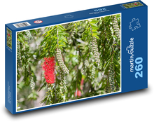 Grevilea - hedvábný dub, strom  Puzzle 260 dílků - 41 x 28,7 cm