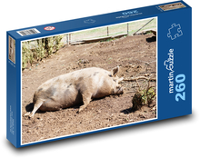 Pig - pet, farm Puzzle 260 pieces - 41 x 28.7 cm 