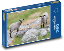 Ovce - pastvina, farma  Puzzle 260 dílků - 41 x 28,7 cm
