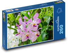 Růžová orchidej - květ, rostlina Puzzle 260 dílků - 41 x 28,7 cm