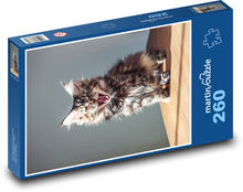 Mačka domáca - mačiatko, rev Puzzle 260 dielikov - 41 x 28,7 cm 