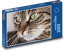 Mourek - cat, whiskers Puzzle 260 pieces - 41 x 28.7 cm