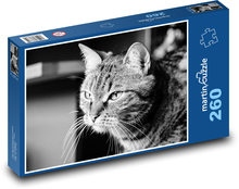 Mačka - fúzy, mourek Puzzle 260 dielikov - 41 x 28,7 cm 