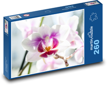 Orchidej - růžový květ, květina Puzzle 260 dílků - 41 x 28,7 cm