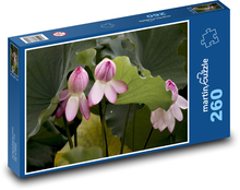 Lilia wodna - kwiat wodny, kwiat Puzzle 260 elementów - 41x28,7 cm