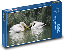 Pelicans - waterfowl, lake Puzzle 260 pieces - 41 x 28.7 cm 