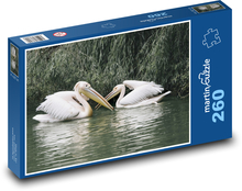 Pelikány - vodné vtáctvo, jazero Puzzle 260 dielikov - 41 x 28,7 cm 