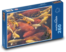 Koi ryba - rybník, zvířata Puzzle 260 dílků - 41 x 28,7 cm