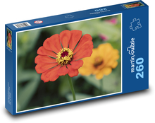 Červená cínia - kvetina, kvet Puzzle 260 dielikov - 41 x 28,7 cm 