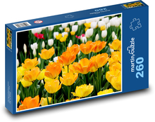 Pole tulipánů - oranžové květy, květiny Puzzle 260 dílků - 41 x 28,7 cm